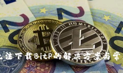 苹果手机无法下载BitP的解决方案与常见问题解析