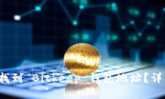  如何找到 Bitkeep 钱包地址？详细指南