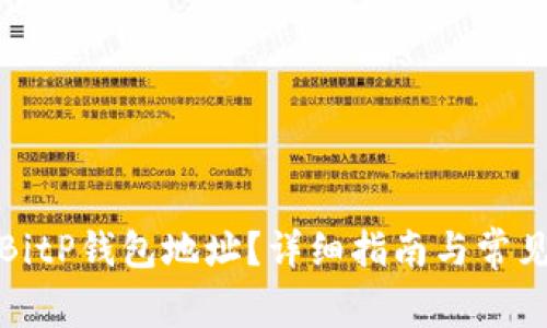 如何查看BitP钱包地址？详细指南与常见问题解答