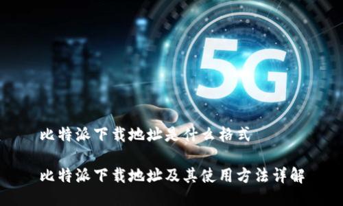 比特派下载地址是什么格式

比特派下载地址及其使用方法详解