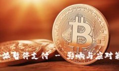 b特派暂停支付 - 影响与应对策略