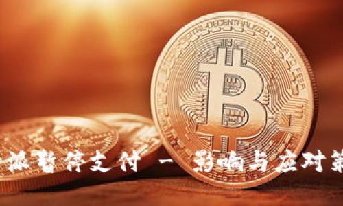 b特派暂停支付 - 影响与应对策略