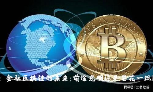 : 金融区块链的未来：前途光明还是昙花一现？