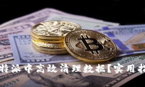如何在比特派中高效清理数据？实用指南与技巧