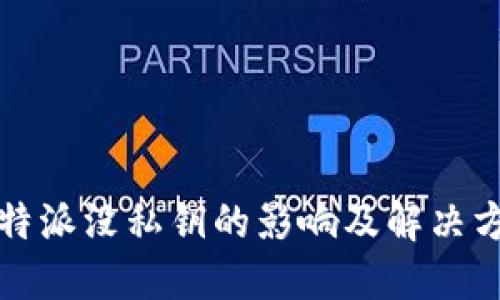 比特派没私钥的影响及解决方案