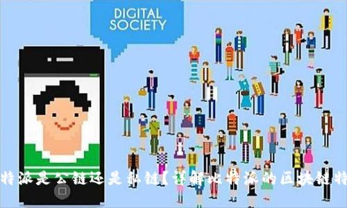 比特派是公链还是私链？详解比特派的区块链特性