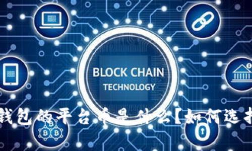 Bitkeep钱包的平台币是什么？如何选择和使用？