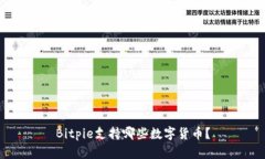 Bitpie支持哪些数字货币？