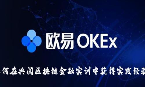 如何在典阅区块链金融实训中获得实践经验？