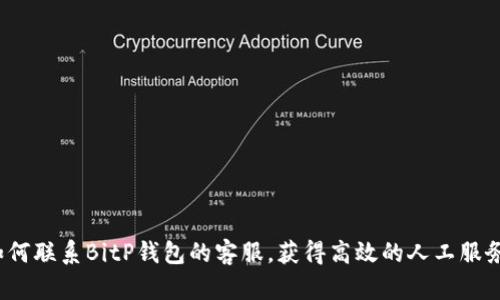 如何联系BitP钱包的客服，获得高效的人工服务？