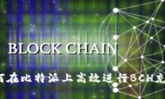 如何在比特派上高效进行BCH充提？