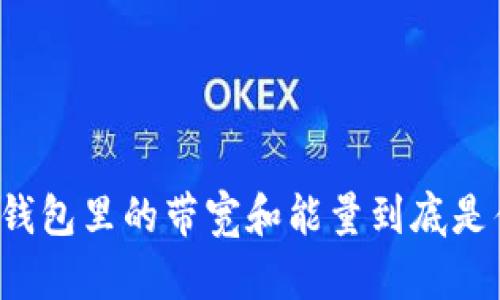 特派钱包里的带宽和能量到底是什么？