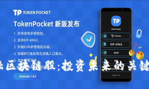 金融区块链股：投资未来的关键吗？