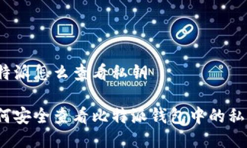 比特派怎么查看私钥

如何安全查看比特派钱包中的私钥？