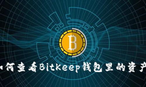 如何查看BitKeep钱包里的资产？