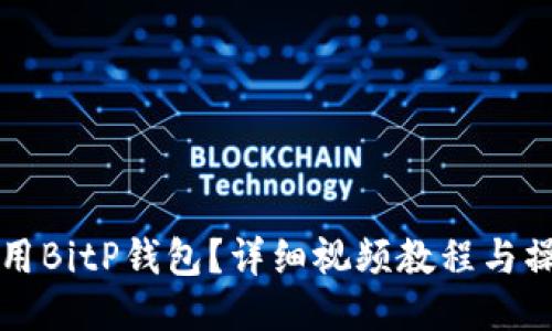 如何使用BitP钱包？详细视频教程与操作指南