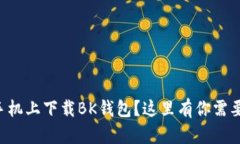 怎样在苹果手机上下载BK钱包？这里有你需要知道