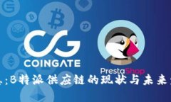  最新消息：B特派供应链的现状与未来发展如何？