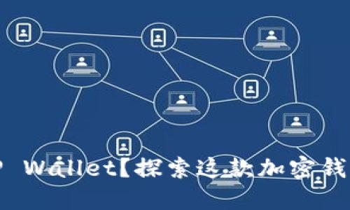 什么是BitP Wallet？探索这款加密钱包的优缺点