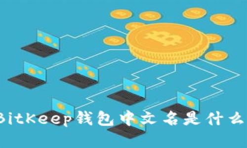 BitKeep钱包中文名是什么？