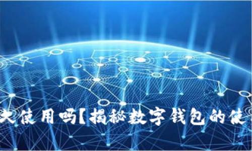 b特派钱包能永久使用吗？揭秘数字钱包的使用寿命与安全性