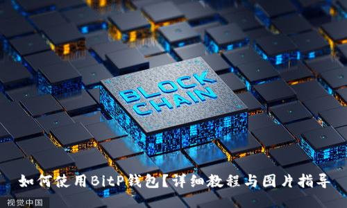 如何使用BitP钱包？详细教程与图片指导