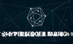 如何安全下载和安装最新版本的BitP？