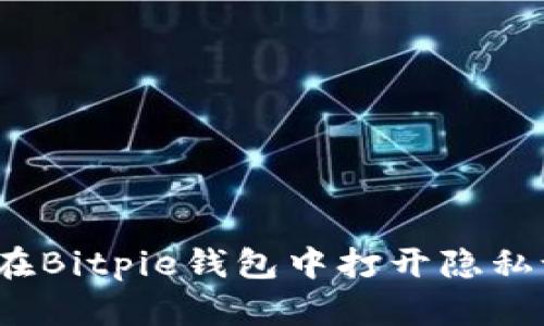 如何在Bitpie钱包中打开隐私设置？