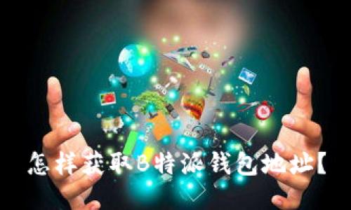 怎样获取B特派钱包地址？