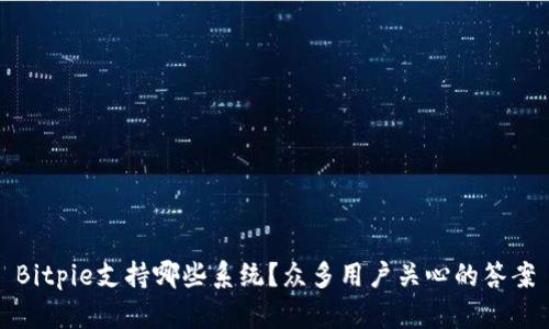 Bitpie支持哪些系统？众多用户关心的答案