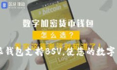 为什么选择B特派钱包支持BSV，使您的数字资产管