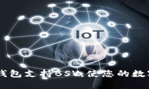 为什么选择B特派钱包支持BSV，使您的数字资产管理更安全？