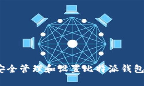 : 如何安全管理和设置比特派钱包的密码？