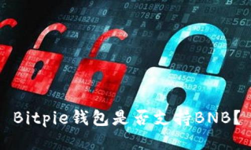 Bitpie钱包是否支持BNB？