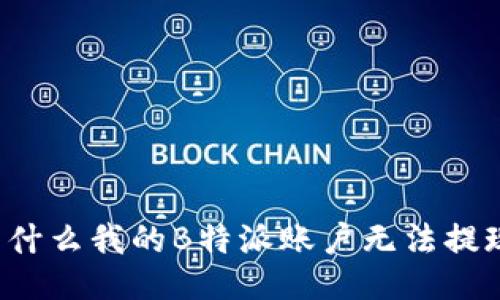 为什么我的B特派账户无法提现？