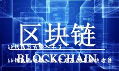 bk钱包怎么输入不了bk钱包无法输入的常见原因与