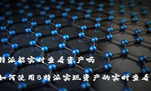特派能实时查看资产吗

如何使用B特派实现资产的实时查看？