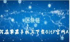 如何在苹果手机上下载BitP官网APP？