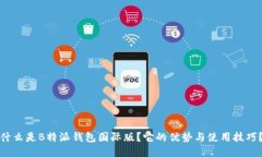 什么是B特派钱包国际版？它的优势与使用技巧？