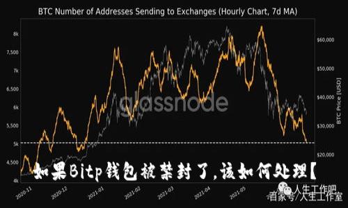 如果Bitp钱包被禁封了，该如何处理？