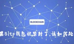 如果Bitp钱包被禁封了，该如何处理？