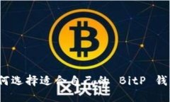 如何选择适合自己的 BitP 钱包？