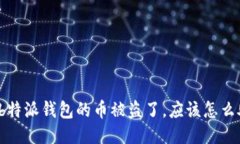 如果b特派钱包的币被盗了，应该怎么处理？