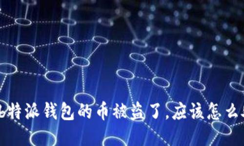 如果b特派钱包的币被盗了，应该怎么处理？