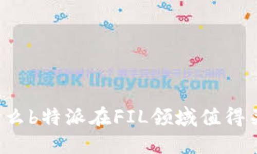 为什么b特派在FIL领域值得关注？