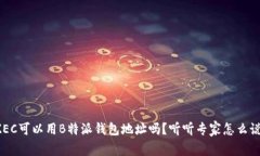 ZEC可以用B特派钱包地址吗？听听专家怎么说！