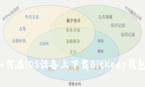 如何在iOS设备上下载BitKeep钱包？
