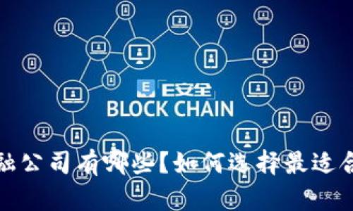  中国区块链金融公司有哪些？如何选择最适合你的投资机会？