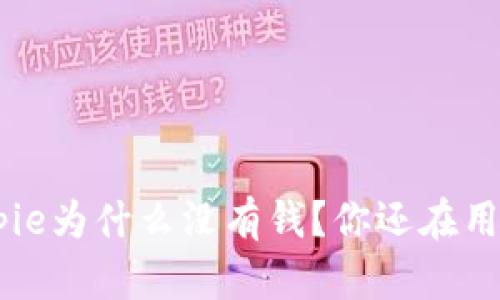 bianhuabitpie为什么没有钱？你还在用这个钱包吗？