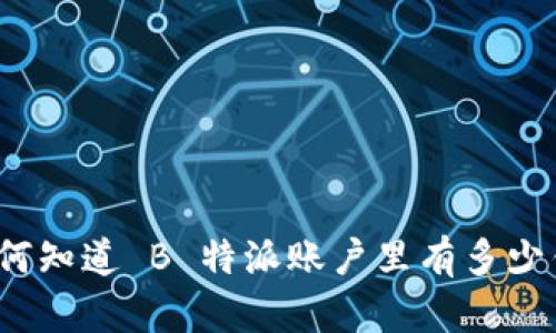 如何知道 B 特派账户里有多少钱？